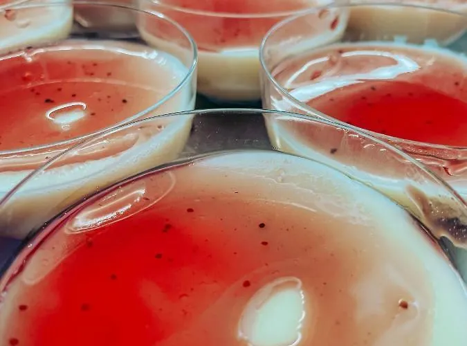 Hotel Brora Family Village